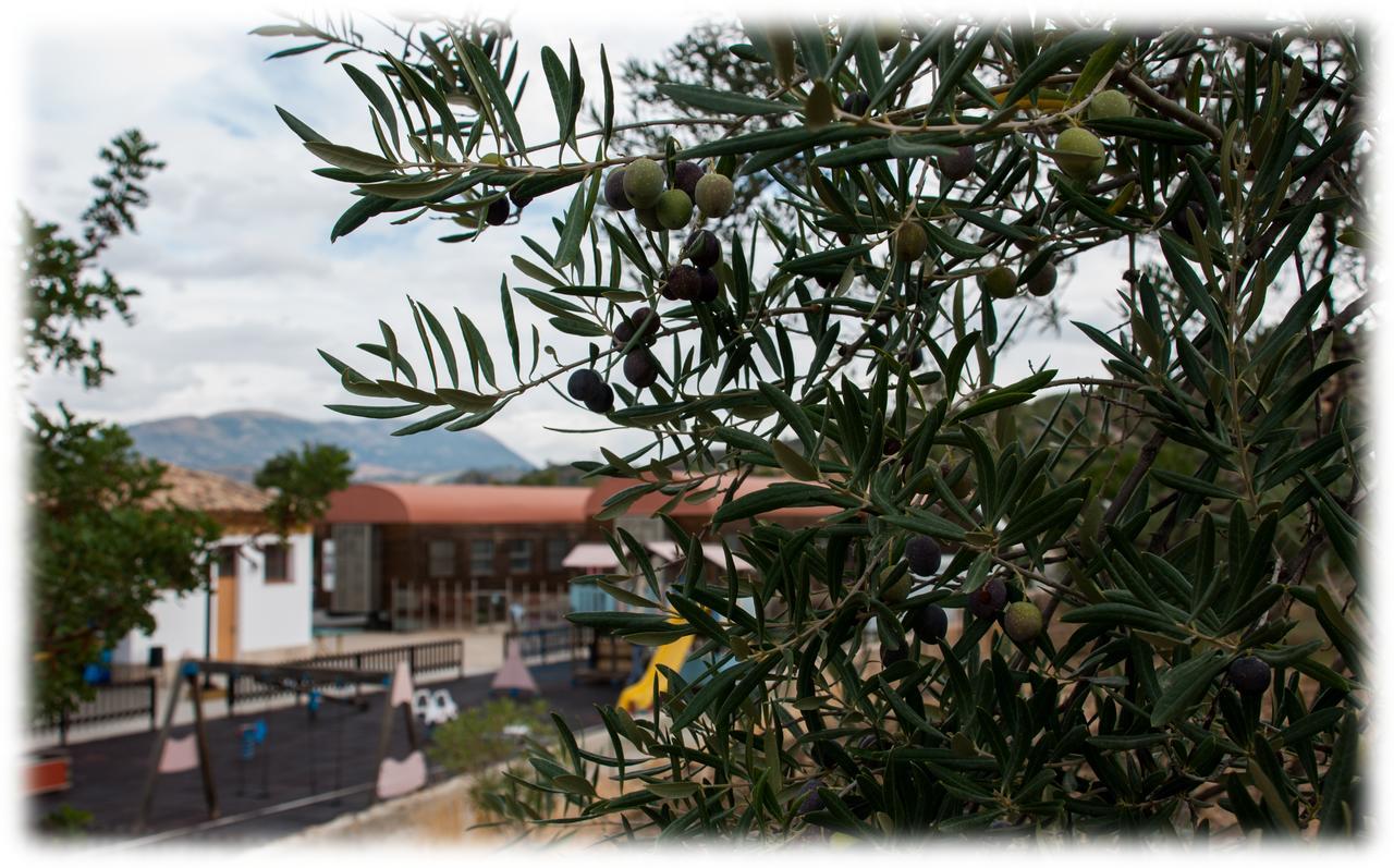Hostal- Restaurante Estacion Via Verde オルベラ エクステリア 写真